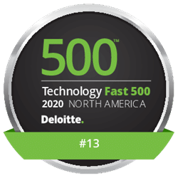 deloitte5002020